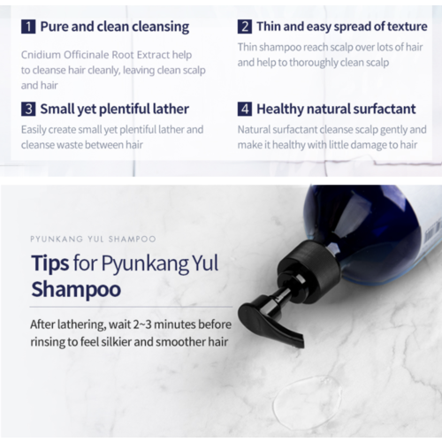 Pyunkang Yul Shampoo Pyunkang Yul Shampoo