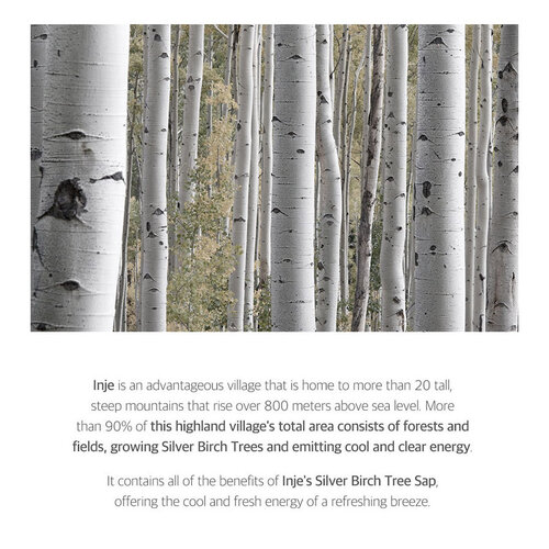 Round Lab Birch Juice Moisturizing Sun Cream SPF50+ PA++++ Round Lab Birch Juice Moisturizing Sun Cream SPF50+ PA++++