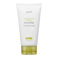Houttuynia Cordata Calming Cleansing Foam