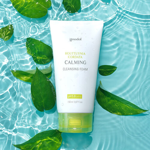 Goodal Houttuynia Cordata Calming Cleansing Foam Goodal Houttuynia Cordata Calming Cleansing Foam