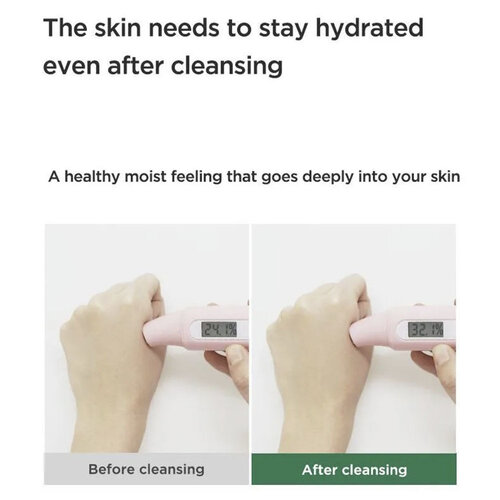 Anua Heartleaf Gentle Facial Cleanser