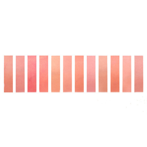 Amuse Dew Tint