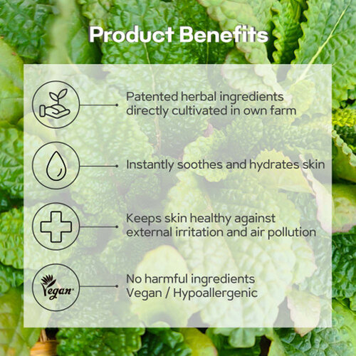 Green Salvia Calming Ampoule