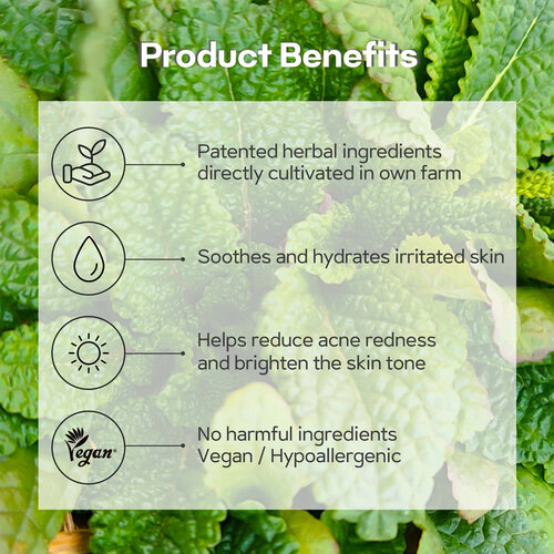 Green Salvia Treatment Toner