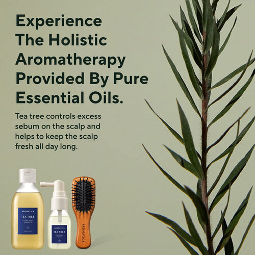 Aromatica Teatree Scalp Purifying Trial Kit Aromatica Teatree Scalp Purifying Trial Kit