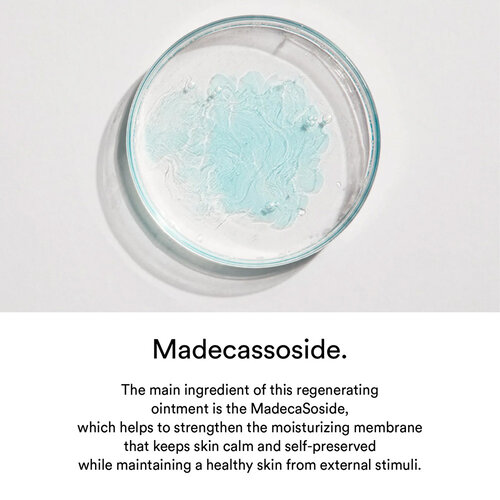 Abib Gummy Sheet Mask Madecassoside Sticker