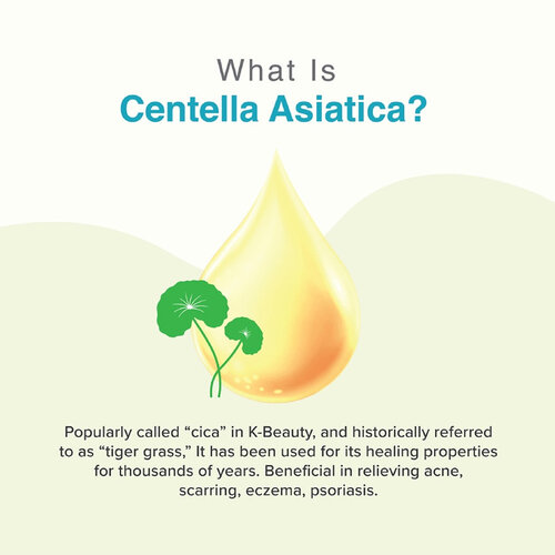 The Potions Centella Asiatica Water Essence The Potions Centella Asiatica Water Essence