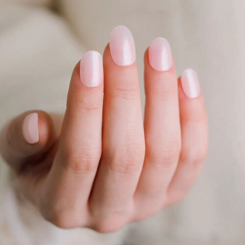 Ohora N Glazed Ohora N Glazed