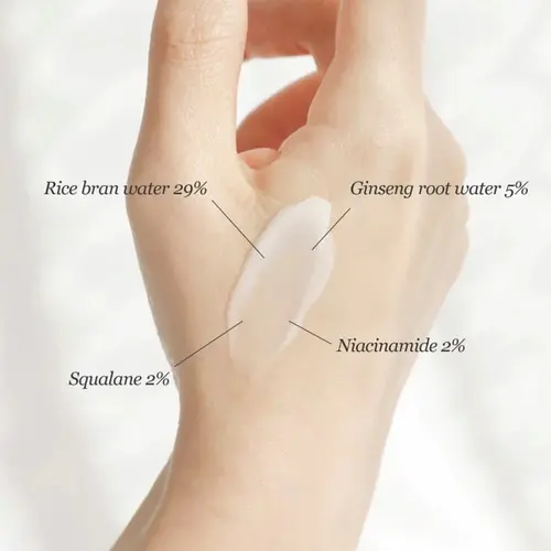 Beauty of Joseon Dynasty Cream Beauty of Joseon Dynasty Cream