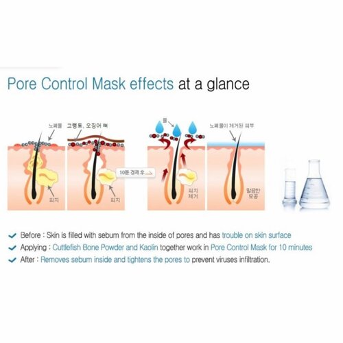 Troiareuke ACSEN Pore Control Mask
