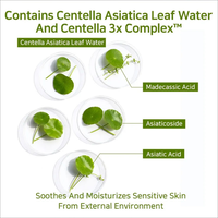 Liposome Collagen LX Cream