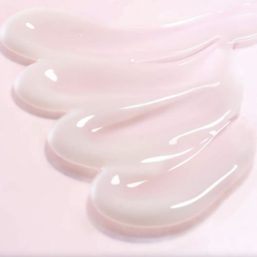 Round Lab Camellia Deep Collagen Firming Cream