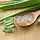 Crema con aloe vera