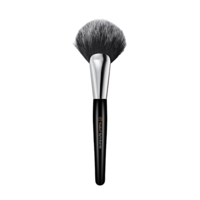 Big Fan Brush 453