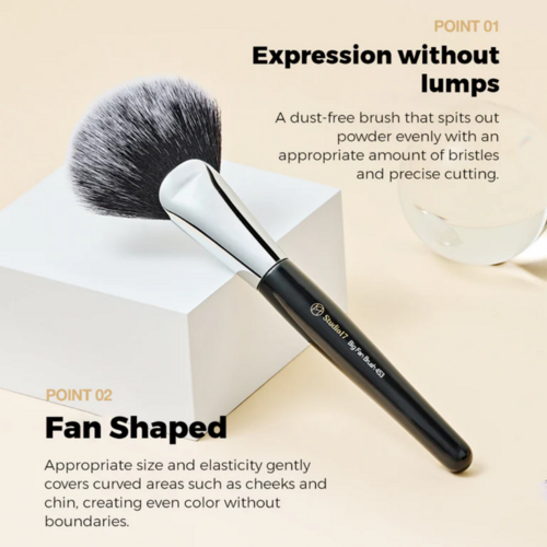 Studio 17 Big Fan Brush 453