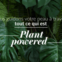 Veganuary : tout ce qu’il faut savoir sur la beauté vegan selon nos experts