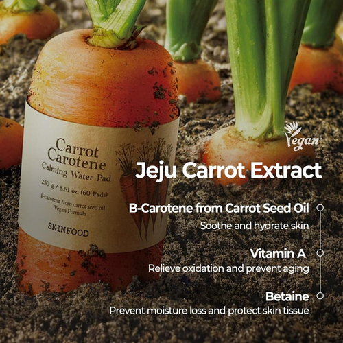 Skinfood Carrot Carotene Daily Mask