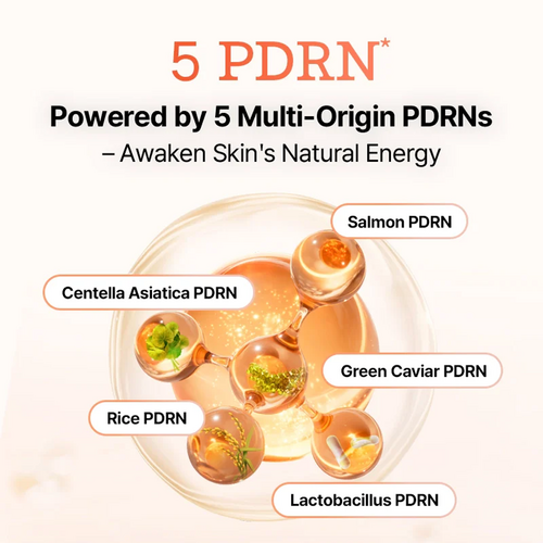 5 PDRN B5 Vital Soothing Toner 5 PDRN B5 Vital Soothing Toner