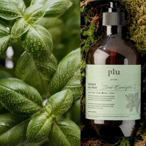 Plu Aroma Body Wash Basil Eucalyptus Plu Aroma Body Wash Basil Eucalyptus