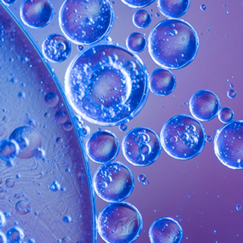 Exosomes