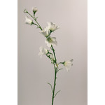 CAMPANULA | WHITE | 66 CM