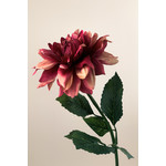 CHRYSANTHEMUM | PINK | 60 CM