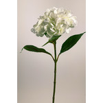 HYDRANGEA | WHITE | 67 CM