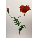 POPPY | RED | 65 CM