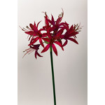 NERINE | PINK | 67 CM