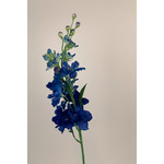 DELPHINIUM | BLUE | 60 CM