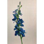 DELPHINIUM | BLUE | 60 CM