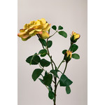 ROSE | YELLOW | 70 CM