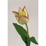 TULP | GEEL | 42 CM