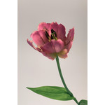 PARKIET TULP | ROZE | 50 CM