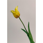 TULIP | YELLOW | 40 CM