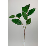 APPLE LEAF | GREEN | 75 CM