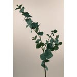 EUCALYPTUS SPRAY | GREEN/GREY | 86 CM