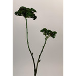 SEDUM SPRAY | GREEN  | 49 CM