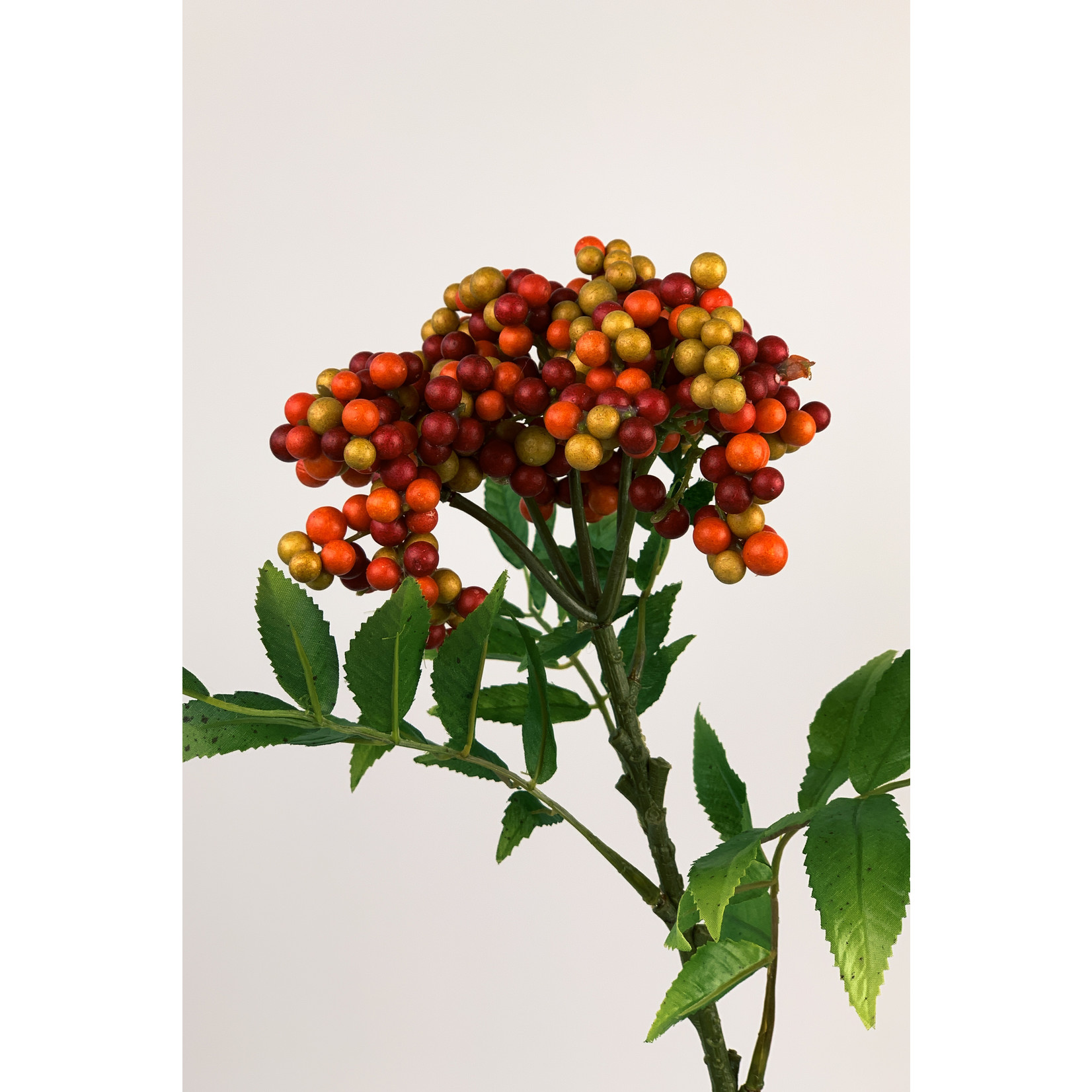 SORBUS SPRAY | ORANGE/RED | 60 CM