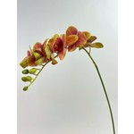 ORCHIDEE | ROZE | 70 CM