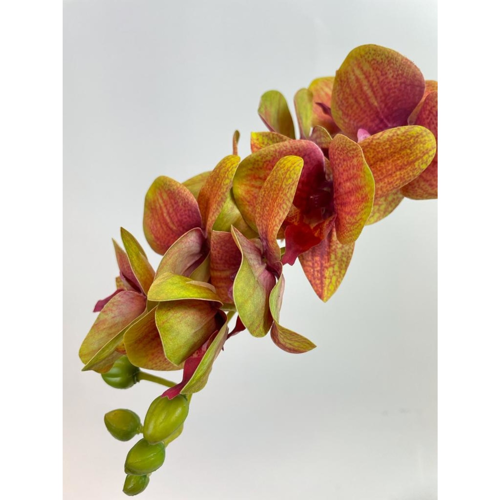 ORCHIDEE PHALEANOPSIS | ROZE | 70 CM