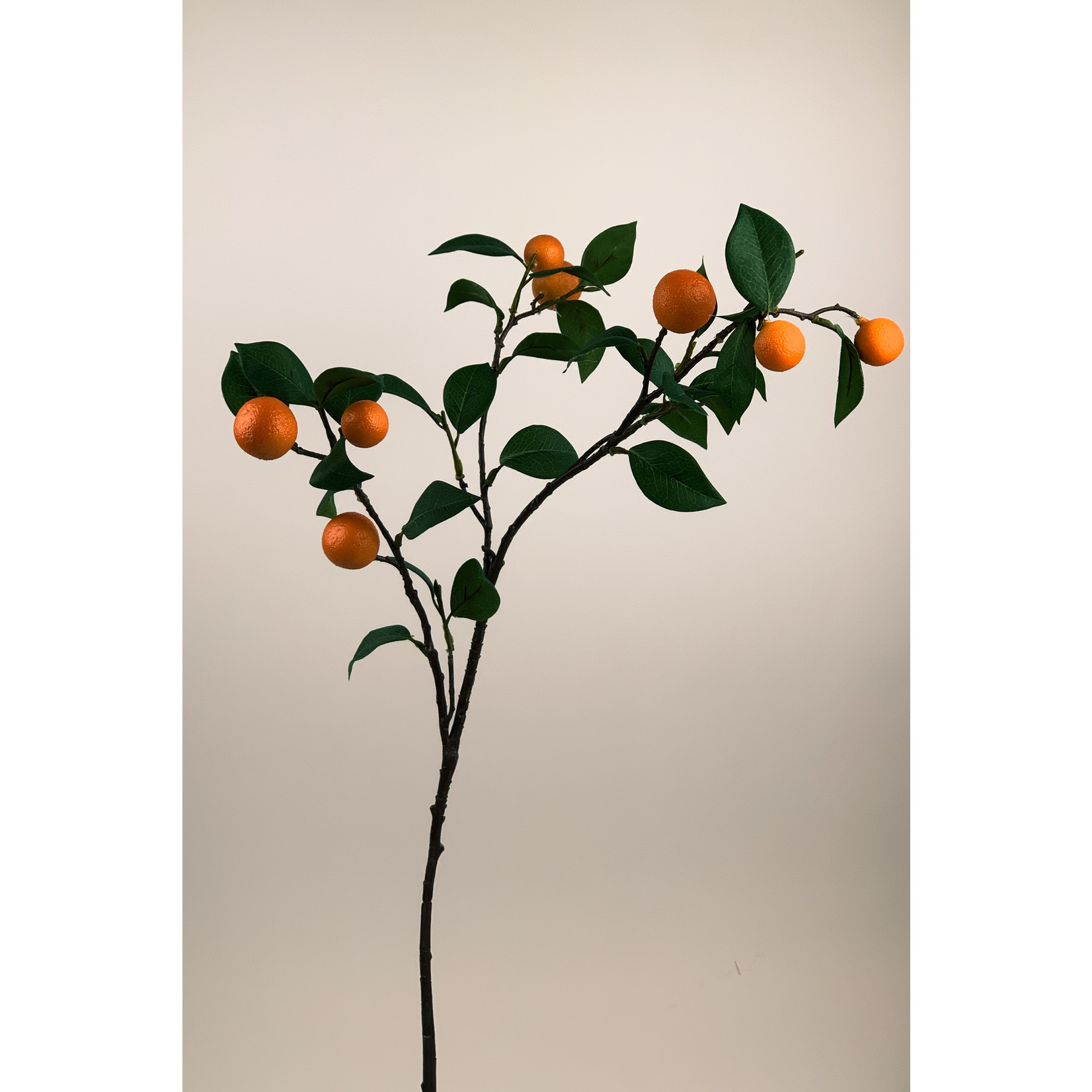 KUMQUAT BRANCH | ORANGE | 76 CM