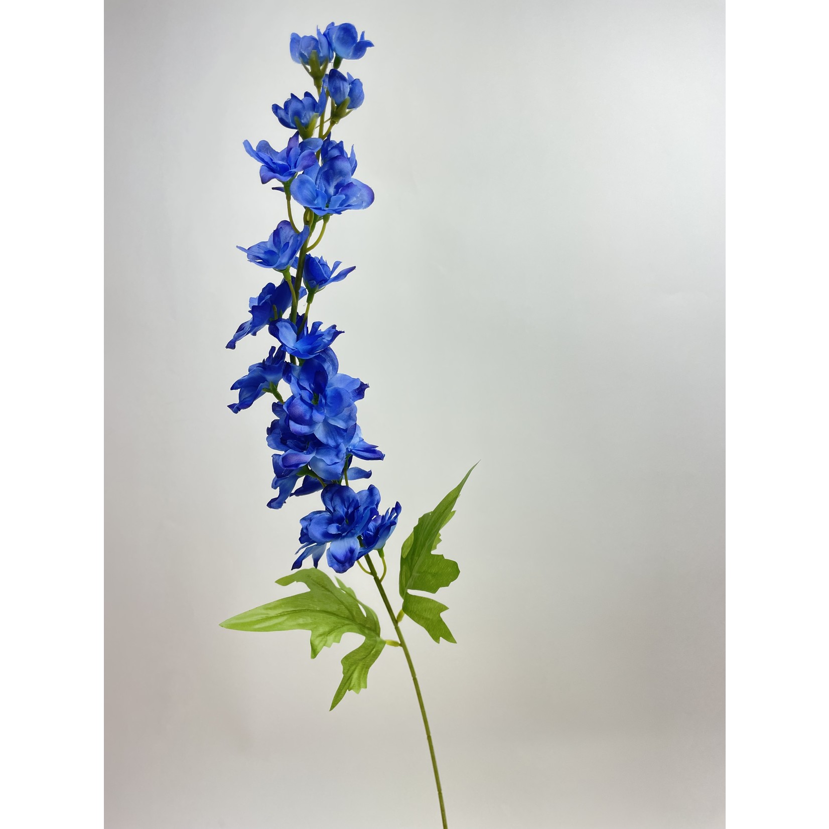 RIDDERSPOOR BLAUWAL | BLAUW | 76 CM