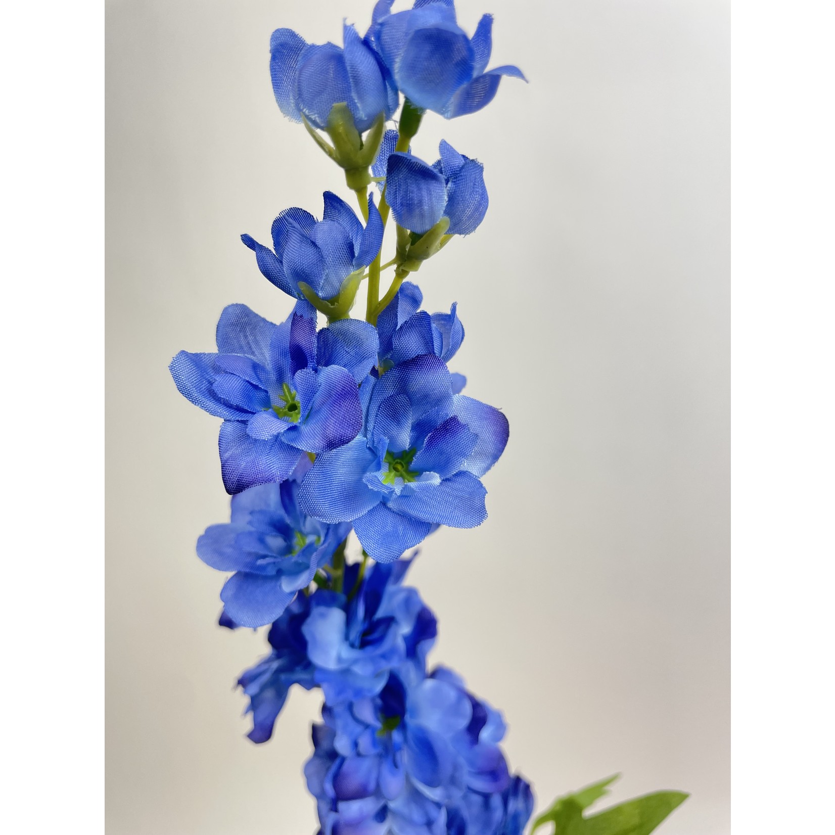 RIDDERSPOOR BLAUWAL | BLAUW | 86 CM