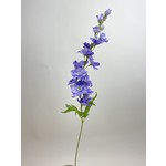 DELPHINIUM | PURPLE | 76 CM