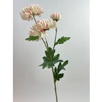 CHRYSANTHEMUM | PINK | 60 CM