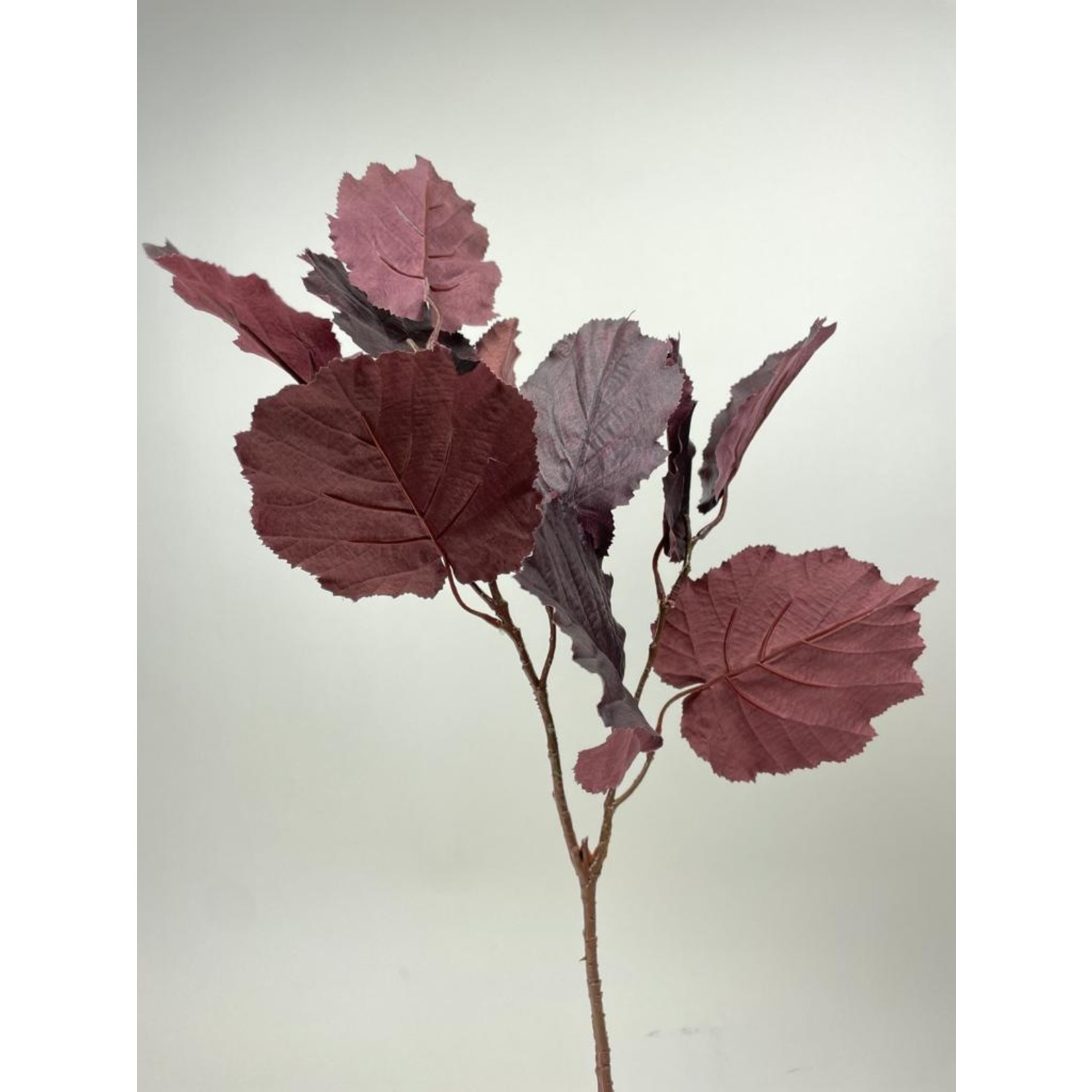 BEECH LEAF | BURGUNDY | 57 CM