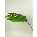 MONSTERA BLAD | GROEN | 85 CM