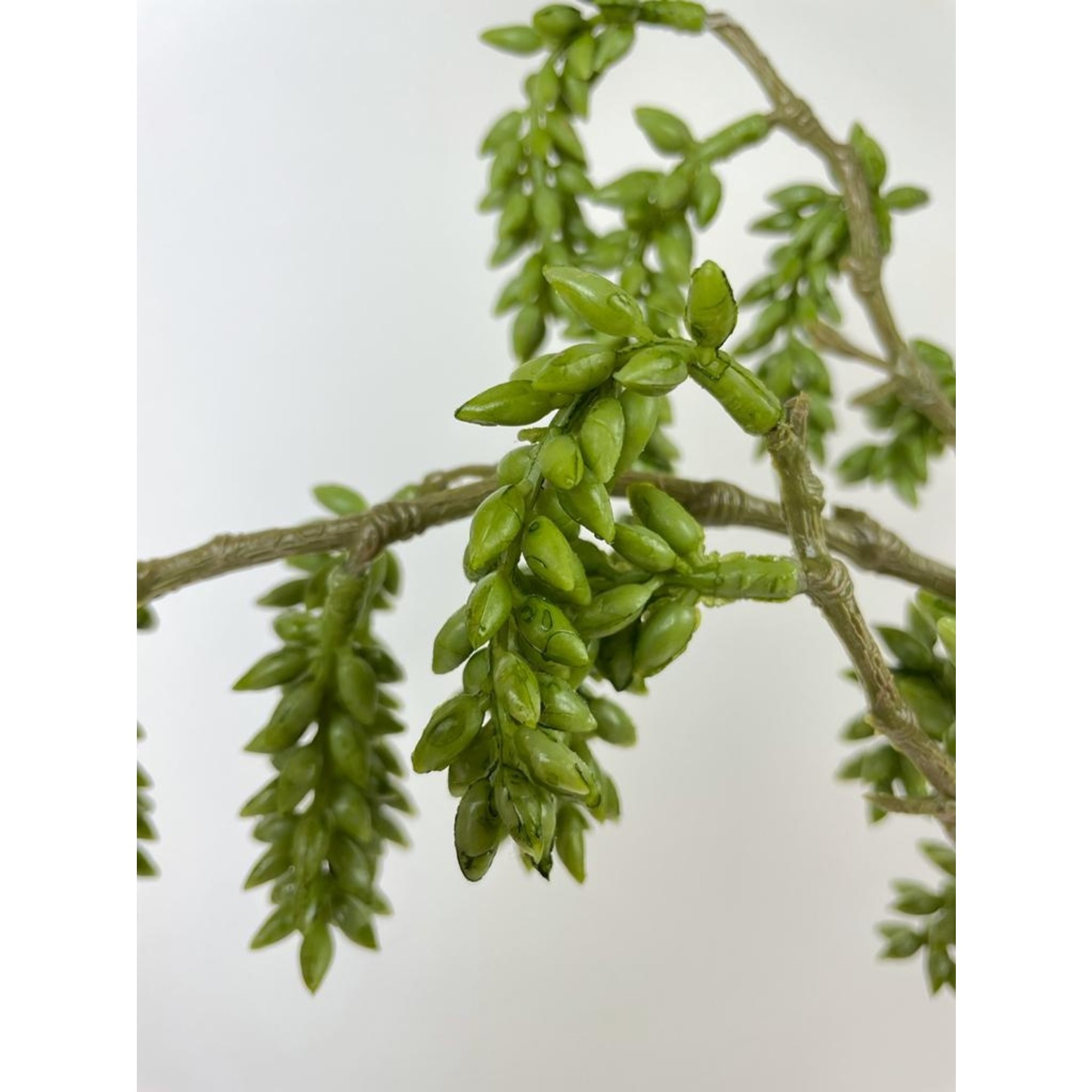 SEDUM SPRAY | GREEN  | 100 CM