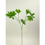 SCHEFFLERA | GREEN | 63 CM